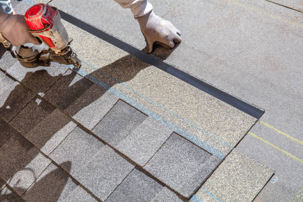 Professional Roofing Contractor in Jackson, LA